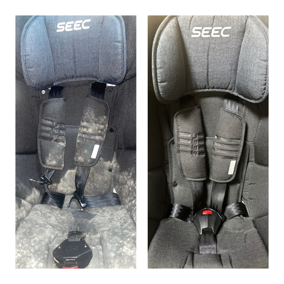 SEEC 카시트 케어 전후 비교